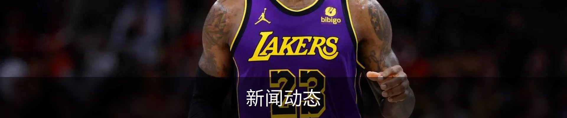新闻动态